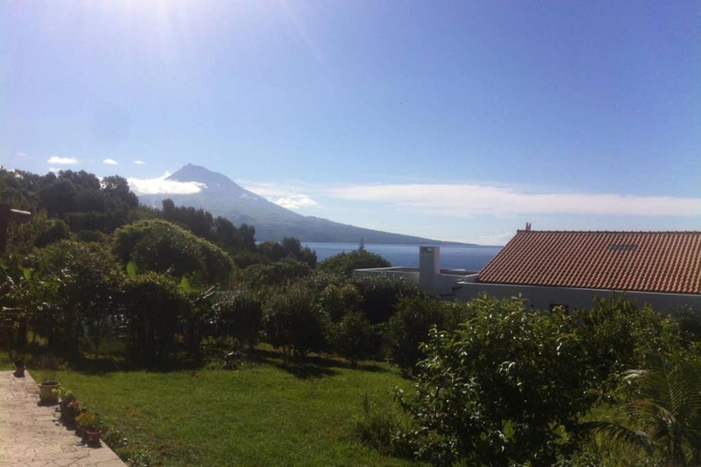 Summer House With Bbq And Garden Horta  Buitenkant foto