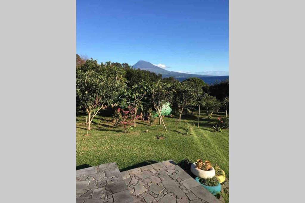 Summer House With Bbq And Garden Horta  Buitenkant foto